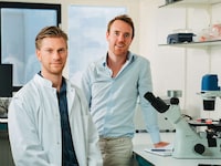 Cell-Cultured Pork Sausages Image 1