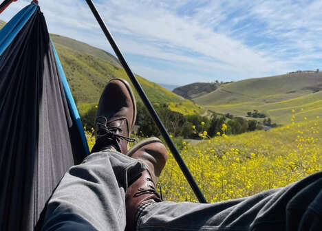 Heavy-Duty Hammock Tents