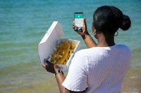 Safe Snacking Zones Image 2