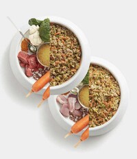 Vet-Designed Dog Meal Plans Image 7