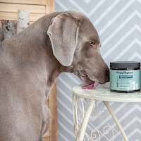 Dog Skincare Lines Image 4