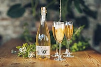 Non-Alcoholic Shrub Infusions Image 1