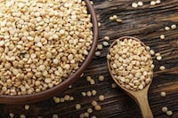 Grit-Free Pea Protein Sources Image 1