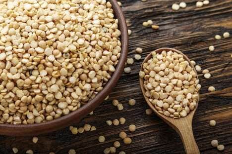Grit-Free Pea Protein Sources