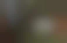 Summer Holiday-Inspired Apparel