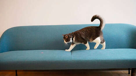 Laser-Emitting Cat Collars