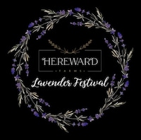 Charitable Lavender Farm Festivals Image 1