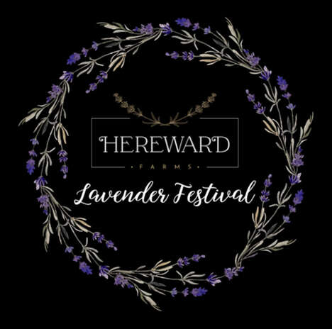 Charitable Lavender Farm Festivals