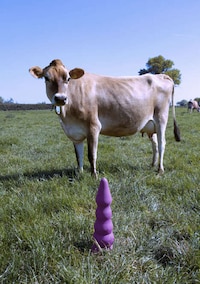 Conceptual Cow Pleasure Toys