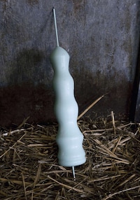 Conceptual Cow Pleasure Toys Image 5