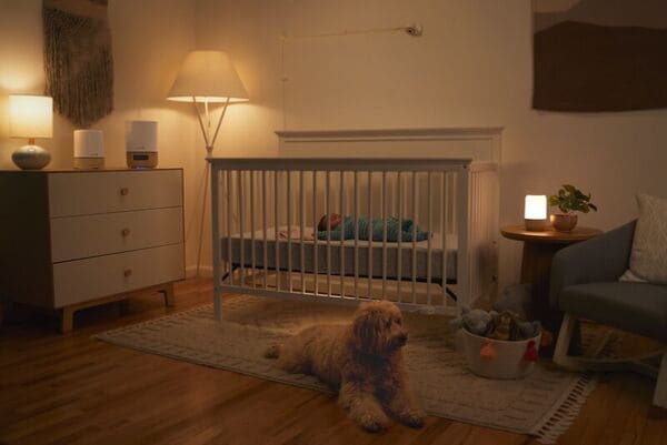Connected Nursery Suites