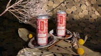 Noodle-Compatible Craft Seltzers Image 1