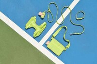 Bold Green Dog Accessories
