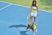 Bold Green Dog Accessories Image 3