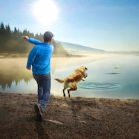 Floating Stone-Like Dog Toys Image 1