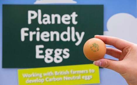 Sustainable Carbon-Neutral Eggs