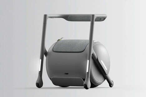 Two-in-One Senior Mobility Solutions