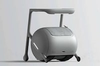 Two-in-One Senior Mobility Solutions Image 3