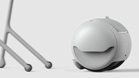 Two-in-One Senior Mobility Solutions Image 8