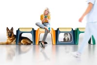 Stool-Equipped Pet Carriers