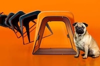 Stool-Equipped Pet Carriers Image 4