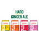 Spiked Ginger Ales Image 1