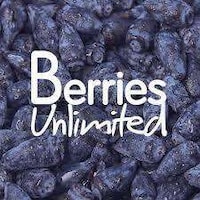 Japanese Superfruit Berries Image 1
