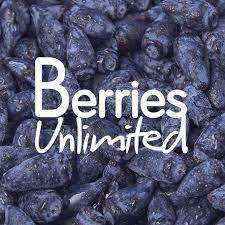Japanese Superfruit Berries