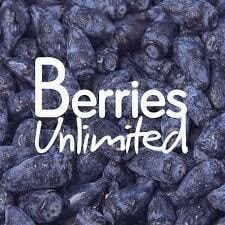 Japanese Superfruit Berries