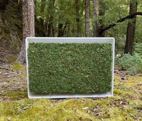Moss-Covered Air Conditioners Image 3