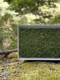 Moss-Covered Air Conditioners Image 5