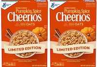 Pumpkin Puree Cereal Flavors Image 1