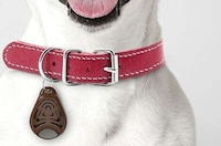 Ultrasonic Pet Pest Protectors Image 1