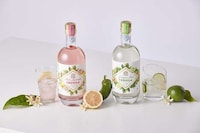 Premium Infused Tequilas Image 1