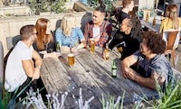 Eco-Friendly Pub Guides