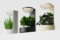 Digital Interaction Planters Image 1