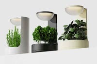 Digital Interaction Planters