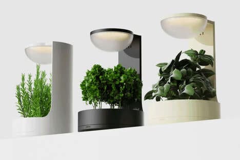 Digital Interaction Planters