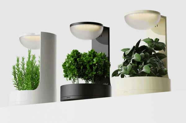Digital Interaction Planters