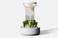 Digital Interaction Planters Image 2