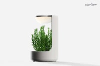 Digital Interaction Planters Image 4
