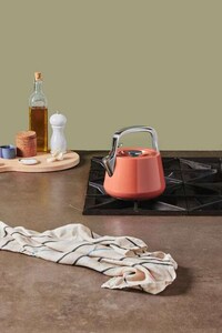 Non-Toxic Tea Kettles Image 4