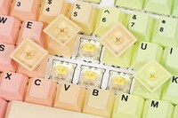 Chromatic Pro-Grade Keyboards Image 6