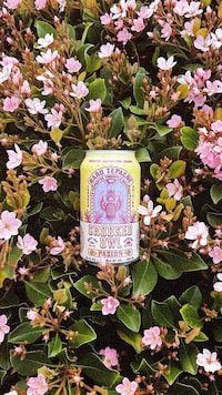 Spiked Pineapple Beverages Image 1