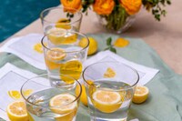 Citrus-Inspired Cocktail Sets Image 1