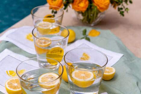 Citrus-Inspired Cocktail Sets