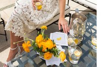 Citrus-Inspired Cocktail Sets Image 3