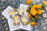 Citrus-Inspired Cocktail Sets Image 4