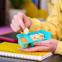 Sherbert-Flavored Cookie Snacks