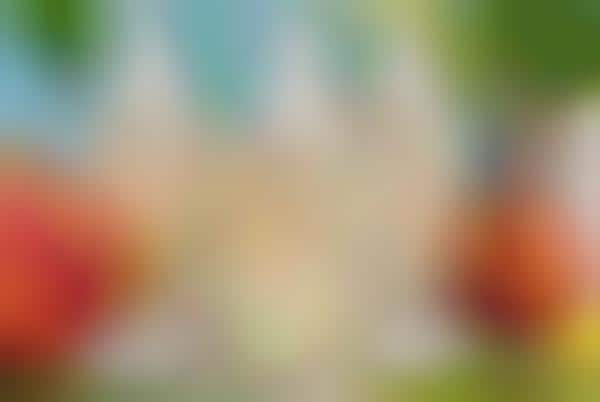 Stone Fruit Hand Soaps
